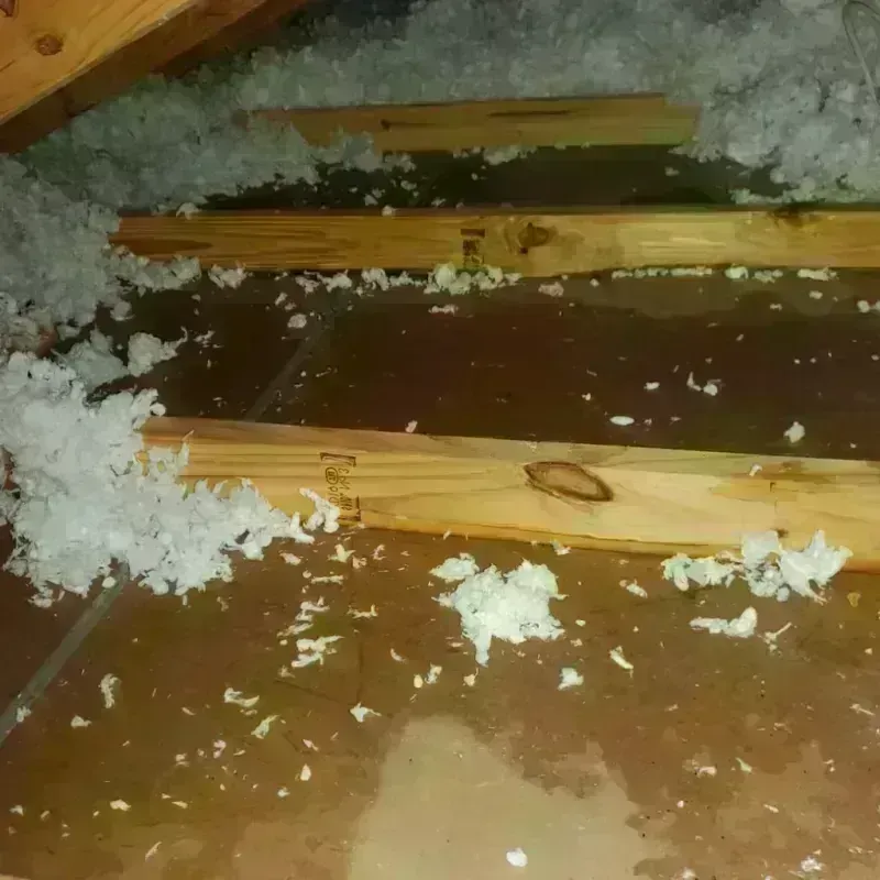 Attic Water Damage in Cyril, OK