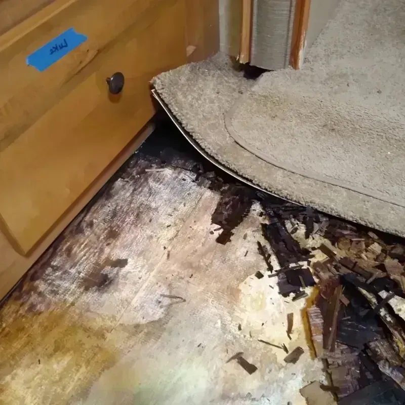 Wood Floor Water Damage in Cyril, OK